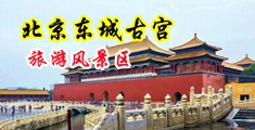 美女嫩B图片中国北京-东城古宫旅游风景区